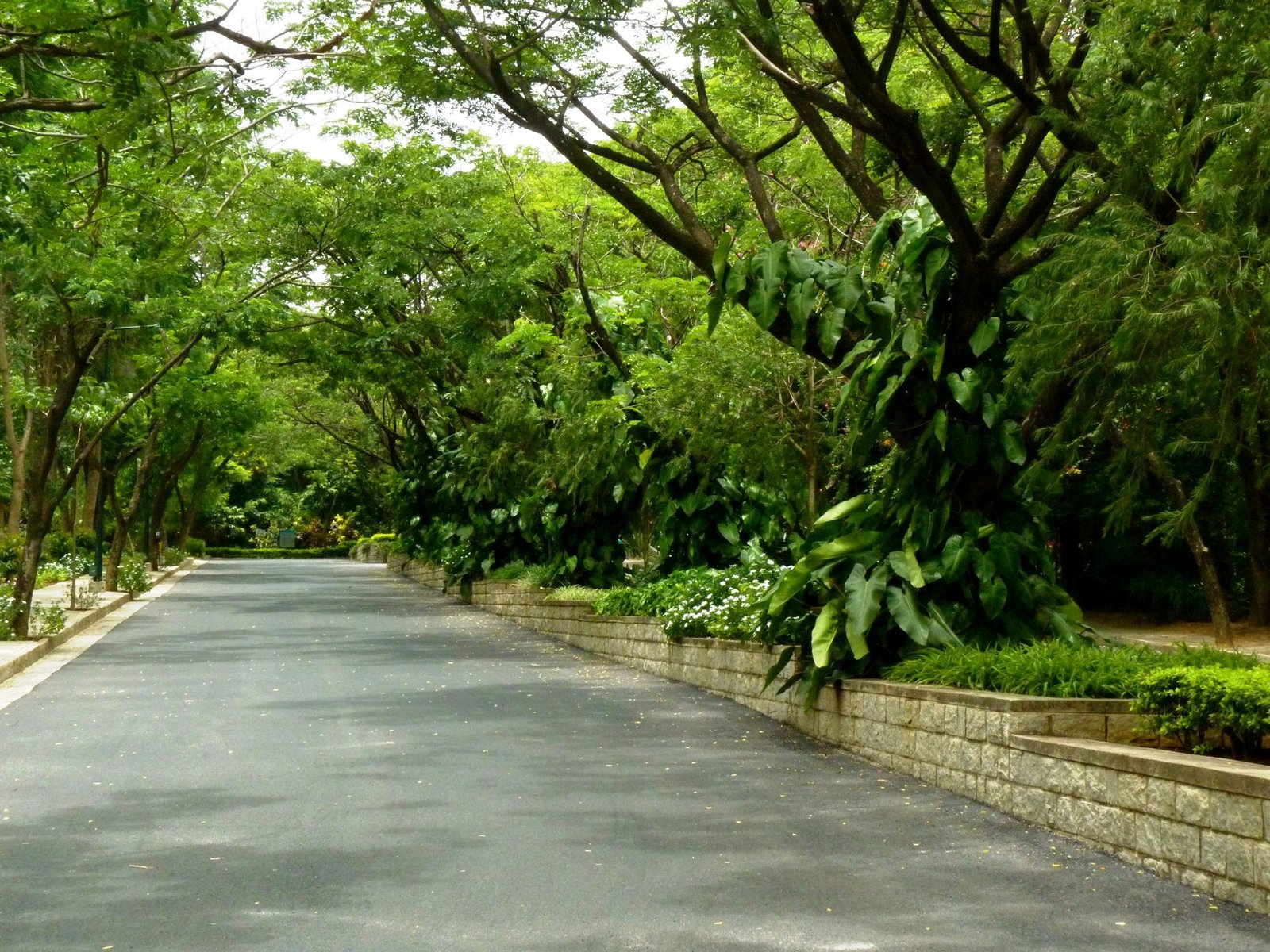 Indian Institute of Management Bangalore (IIM Bangalore)