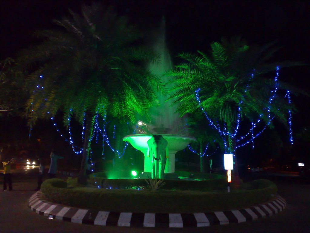 Indian Institute of Technology Madras (IIT Madras)